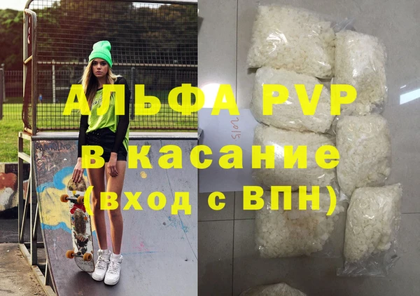 шишки Горняк