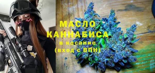 шишки Горняк