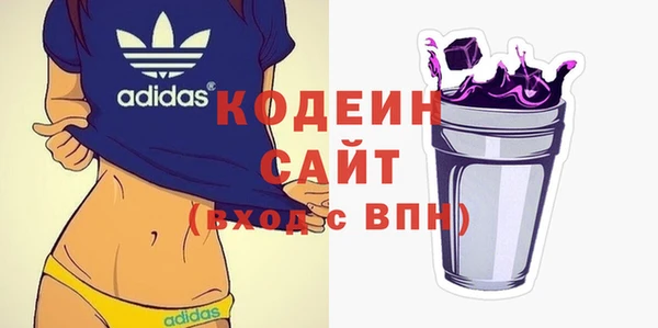 шишки Горняк