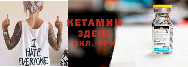 шишки Горняк