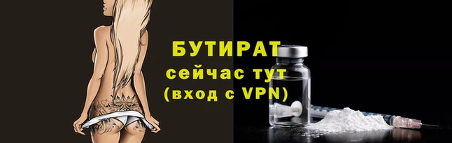 шишки Горняк