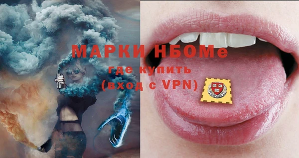 шишки Горняк