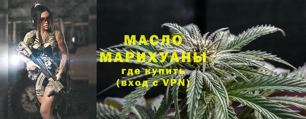 шишки Горняк