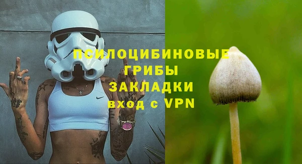 шишки Горняк