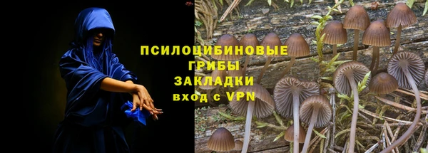 мет Горно-Алтайск