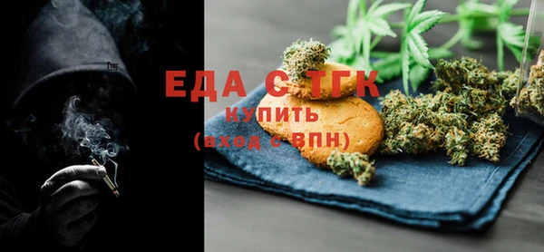 шишки Горняк
